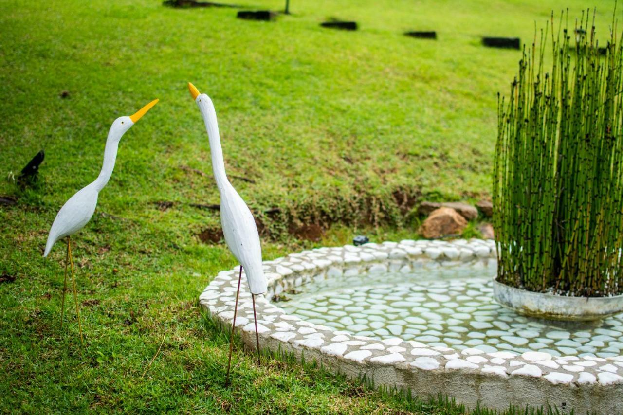 Pousada Toca Dos Tucanos Campos do Jordão Exteriér fotografie